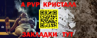 прущие грибы Канаш