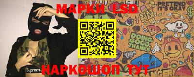 прущие крисы Камышлов