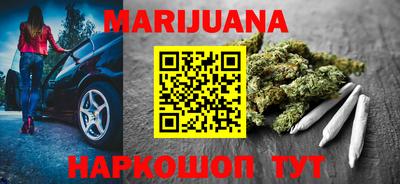 прущие крисы Камышлов