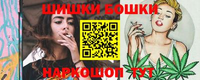 прущие крисы Камышлов