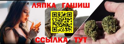 прущие крисы Камышлов