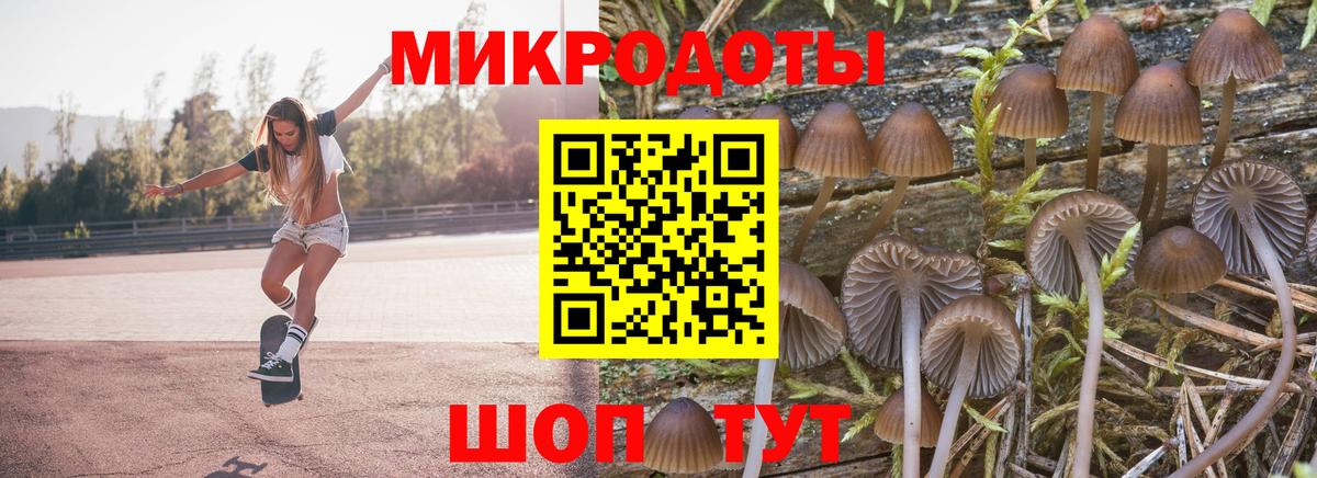 Галлюциногенные грибы Cubensis  купить наркотик  Вход с VPN  Кубинка  Галлюциногенные грибы Cubensis 